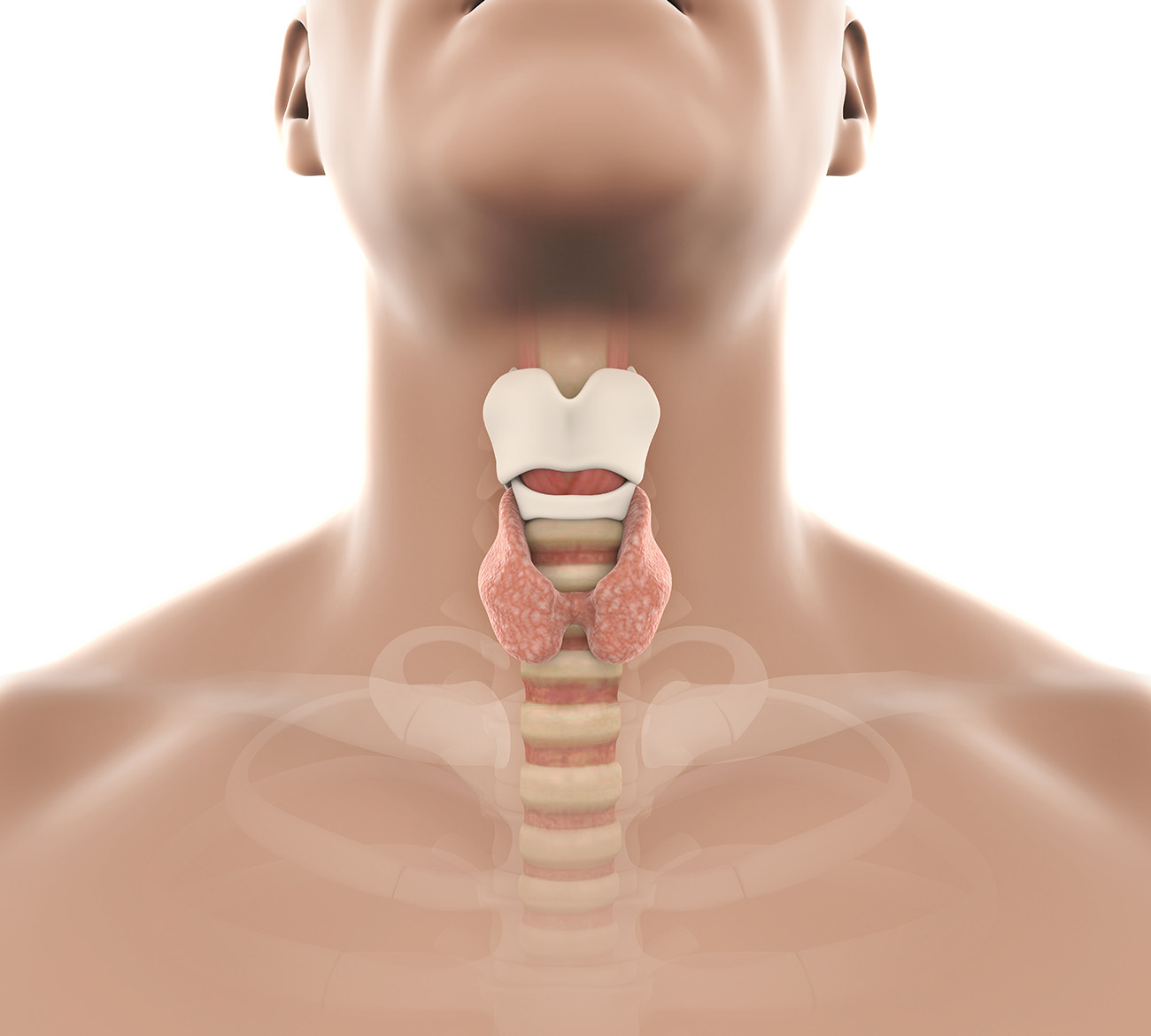 vHIT (video galvas impulsa tests jeb head impulse test)