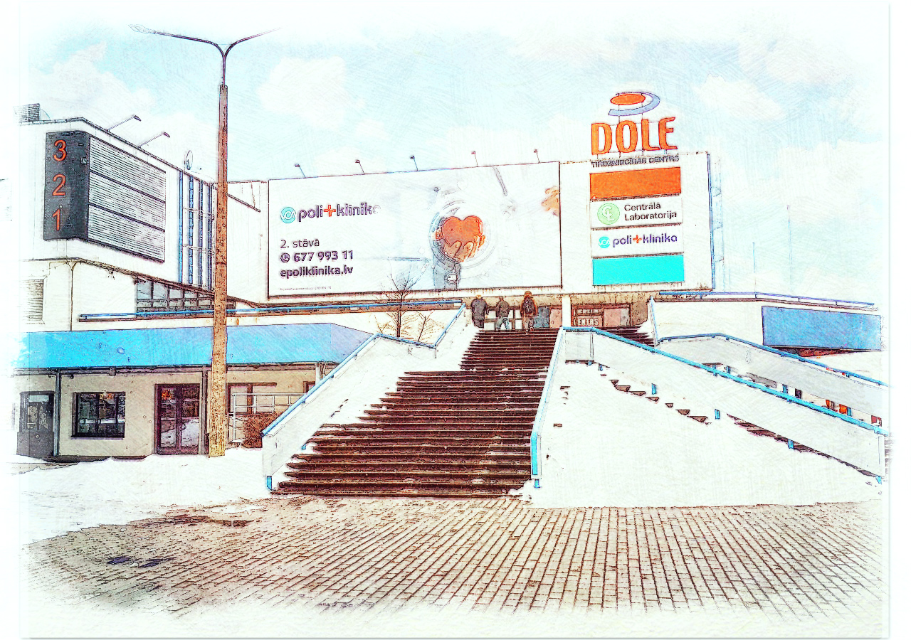 VCA Dole