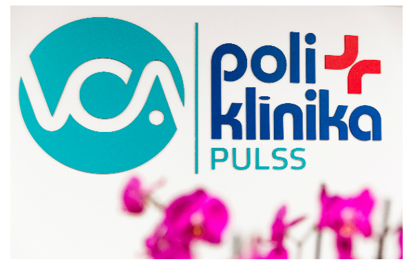 Pulss Premium iepazīšanās cenas