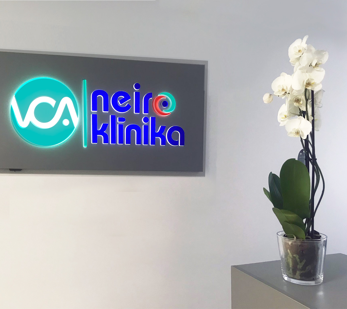 В сети VCA poliklīnika открыли новую, современную клинику Neiro klīnikа!