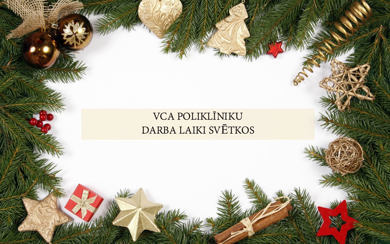 Darba laiki VCA poliklīnikās decembrī un janvārī